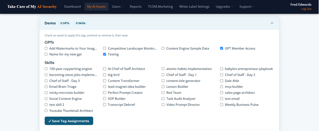 Tag view in the portal: one tag covering GPTs and Skills